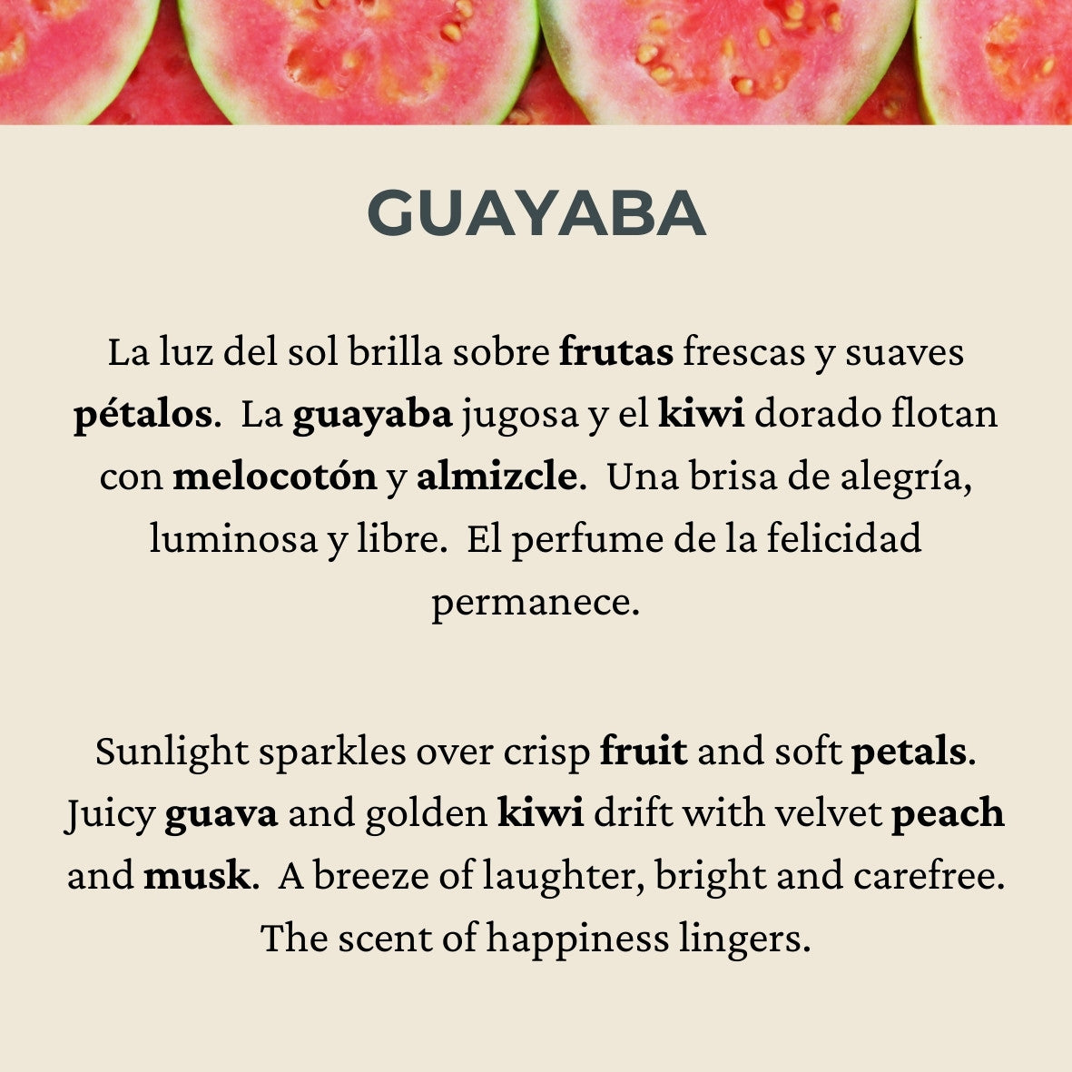 GUAYABA – Barritas Aromáticas