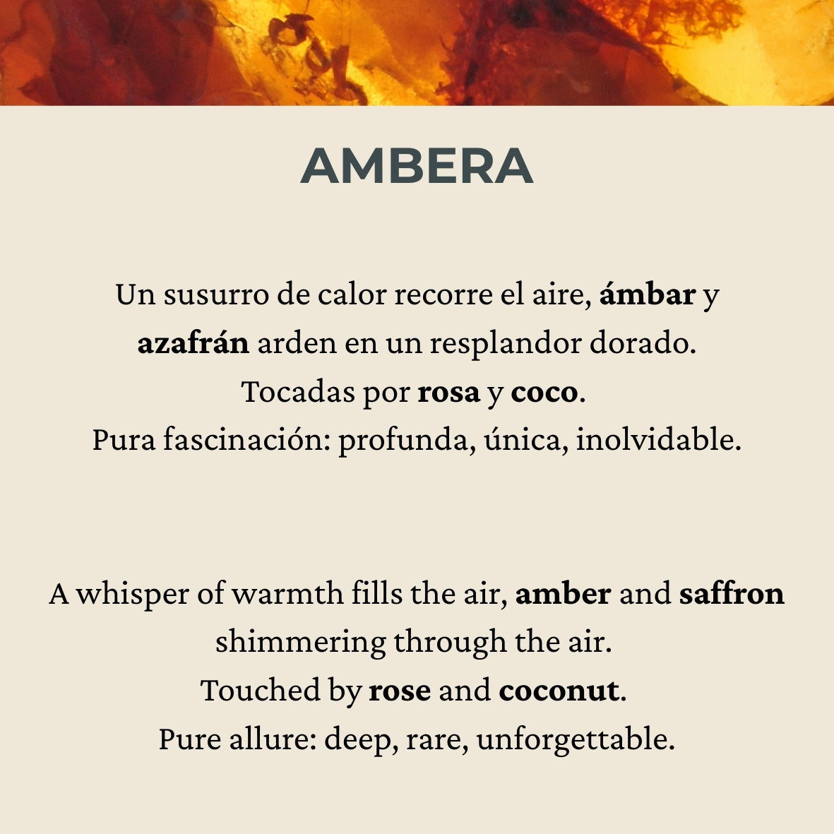 AMBERA – Barritas Aromáticas